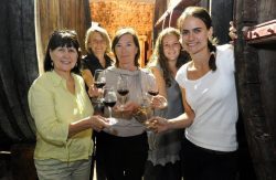 Cave Femmes Vignes Rhône